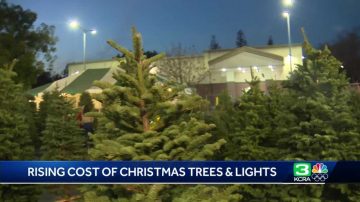 From holiday lights to Christmas trees: Why decking the halls may cost more this year