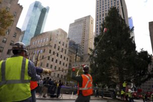 Home for the holidays: Where did this year’s Rockefeller Center tree come from?