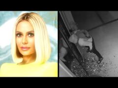 RHOBH’s Dorit Kemsley Home Invasion: NEW VIDEO Shows Burglars in Action