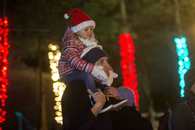 Zoo’s annual holiday lights celebration begins Friday