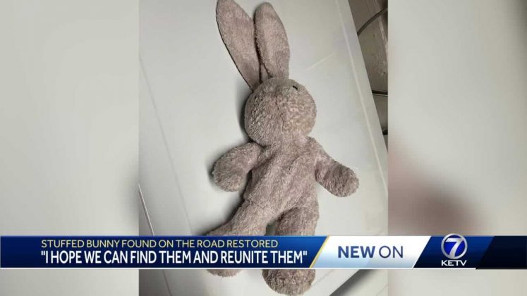 ‘I hope that we can find them’: Woman on a mission to reunite lost stuffed bunny with owner