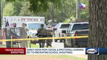 ‘It is heartbreaking’: Mother of Sandy Hook shooting victim calls such tragedies preventable