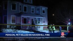 Resident, dog killed in fire in multi-family home