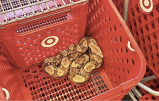 This woman found a 6-foot-long snake in her Target shopping cart