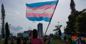 Joanna Sternberg, Rostam, Wednesday, and More Record Covers for Trans Rights Benefit Compilation: Listen