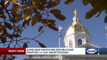 Some NH Republicans propose 15-day abortion ban