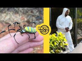 Kanye West Sued AGAIN + Flying Spiders In NYC?