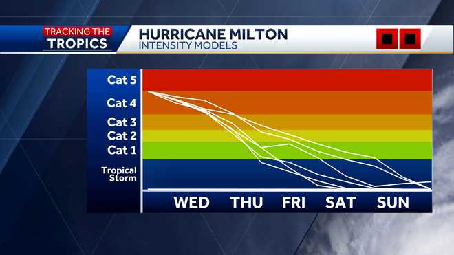 intensity models show how strong the storm is forecast to become