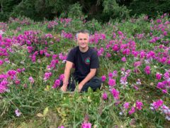Mount Eerie Shares New Song “I Saw Another Bird”: Listen
