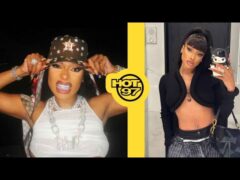 Megan Thee Stallion Sues Blogger Over Harrassment