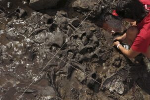 Giant sloths, mastodons lived with humans for millennia, new findings suggest