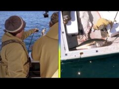 Harpoon Hunters: Fisherman Spears Nearly 8-FOOT-LONG Tuna! (Exclusive)