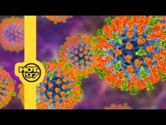 Texas ‘Measles Parties’ + Ebro Darden’s Birthday Surprise Gone Wrong