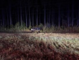 Third Mass. high school senior dies, one injured after Florida crash