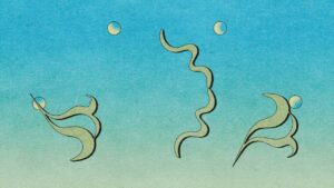 Paul Weller Taps Robert Plant, Noel Gallagher for New Covers LP, ‘Find El Dorado’