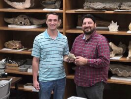 Researchers discover massive mosasaur fossil in Mississippi