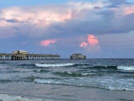 One year after 2 teens attacked by shark on Gulf Coast, communities working to set up alerts