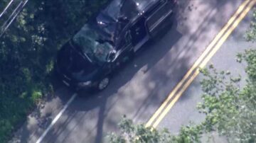 Occupant pulled from minivan crushed by falling tree in Holliston