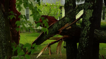 ‘Utter destruction’: National Weather Service to survey damage in central Mass.
