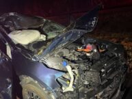 Moose hit by one car and then another on N.H. highway