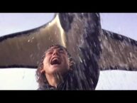Free Willy REBOOT! What We Know About the New Movie