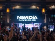 Phish brought near-record crowds to this Fenway dispensary — but not a product shortage