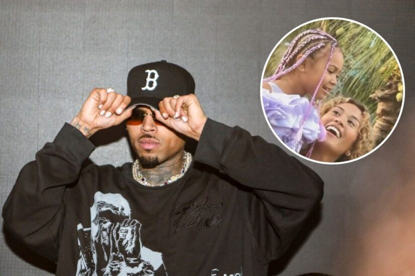 Chris Brown Claims Daughter Lovely’s Mother Is Lying to Court